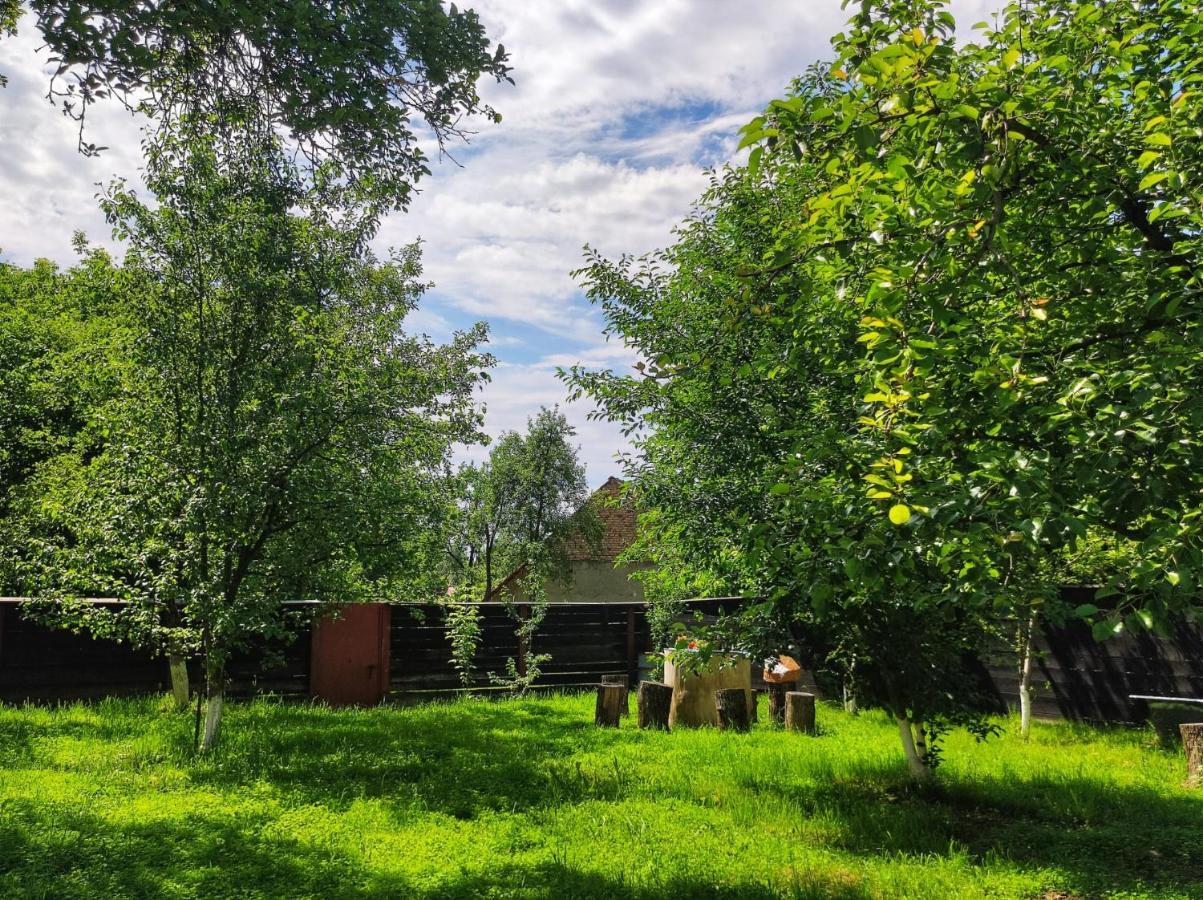 La Bunu Nic Guest House Porumbacu de Sus Exterior photo